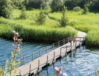 Steg am Haidersee