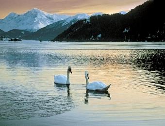 Lago di San Valentino alla Muta