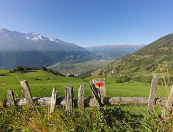 Alta Via della Val Venosta