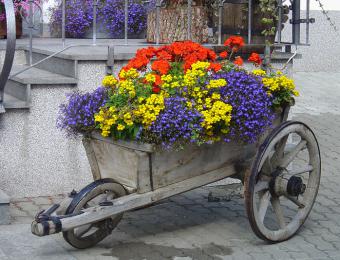 Lo splendore dei fiori alla Villa Claudia Augusta