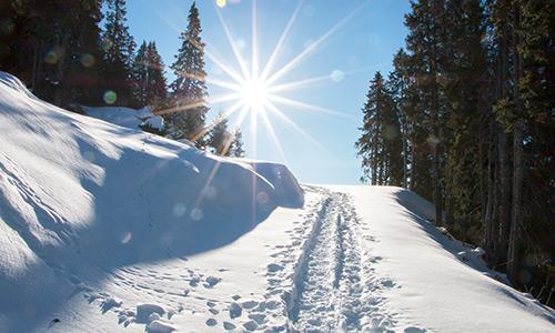 Paesaggio invernale della Val Venosta